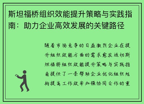 斯坦福桥组织效能提升策略与实践指南：助力企业高效发展的关键路径