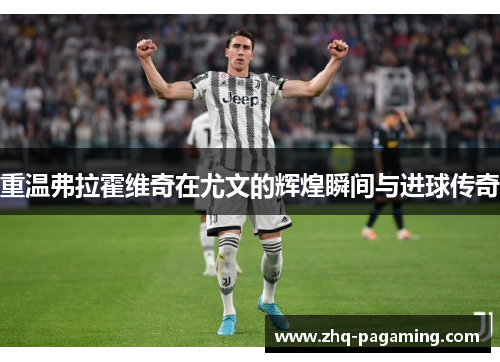 重温弗拉霍维奇在尤文的辉煌瞬间与进球传奇