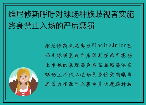 维尼修斯呼吁对球场种族歧视者实施终身禁止入场的严厉惩罚 维尼修斯呼吁对球场种族歧视者实施终身禁止入场的严厉惩罚