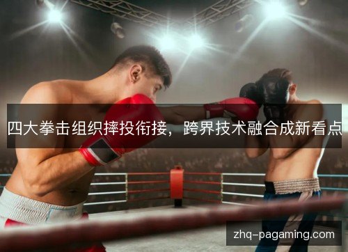 四大拳击组织摔投衔接,跨界技术融合成新看点 四大拳击组织摔投衔接,跨界技术融合成新看点